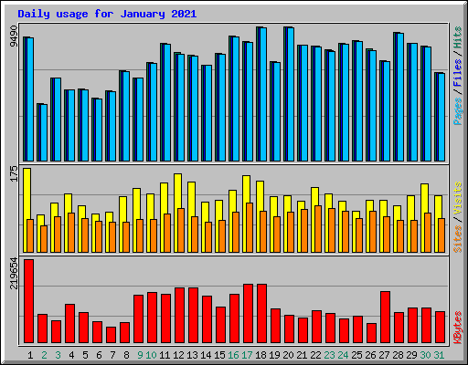 Daily usage for January 2021