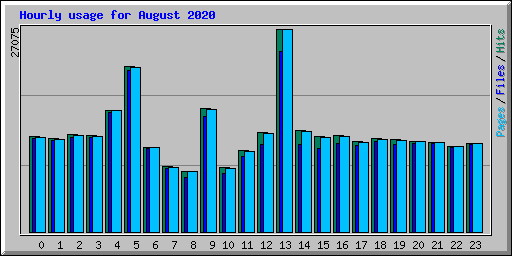 Hourly usage for August 2020