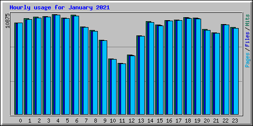 Hourly usage for January 2021
