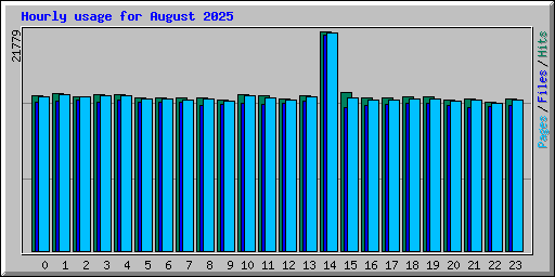 Hourly usage for August 2025