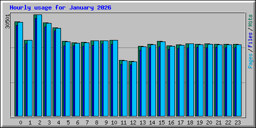 Hourly usage for January 2026
