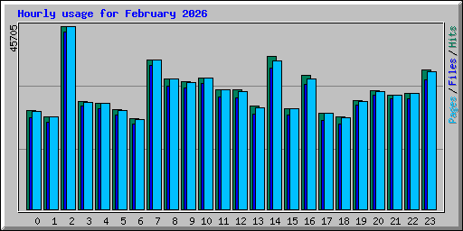 Hourly usage for February 2026