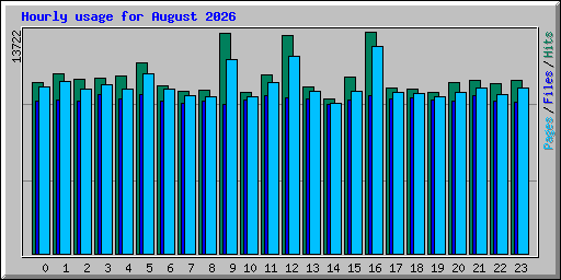 Hourly usage for August 2026