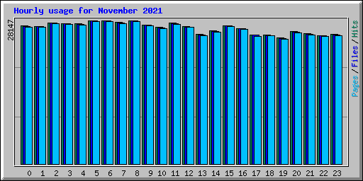Hourly usage for November 2021